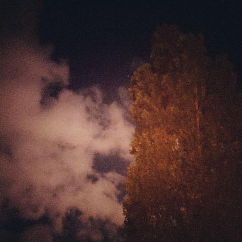 Nightsky, bright clouds and a tree.